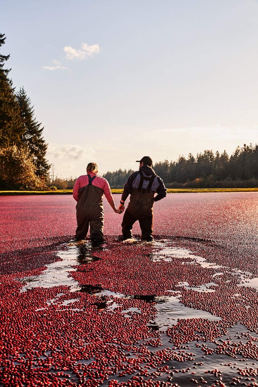 Ocean Spray Diet Cranberry Lime Juice Drink Review