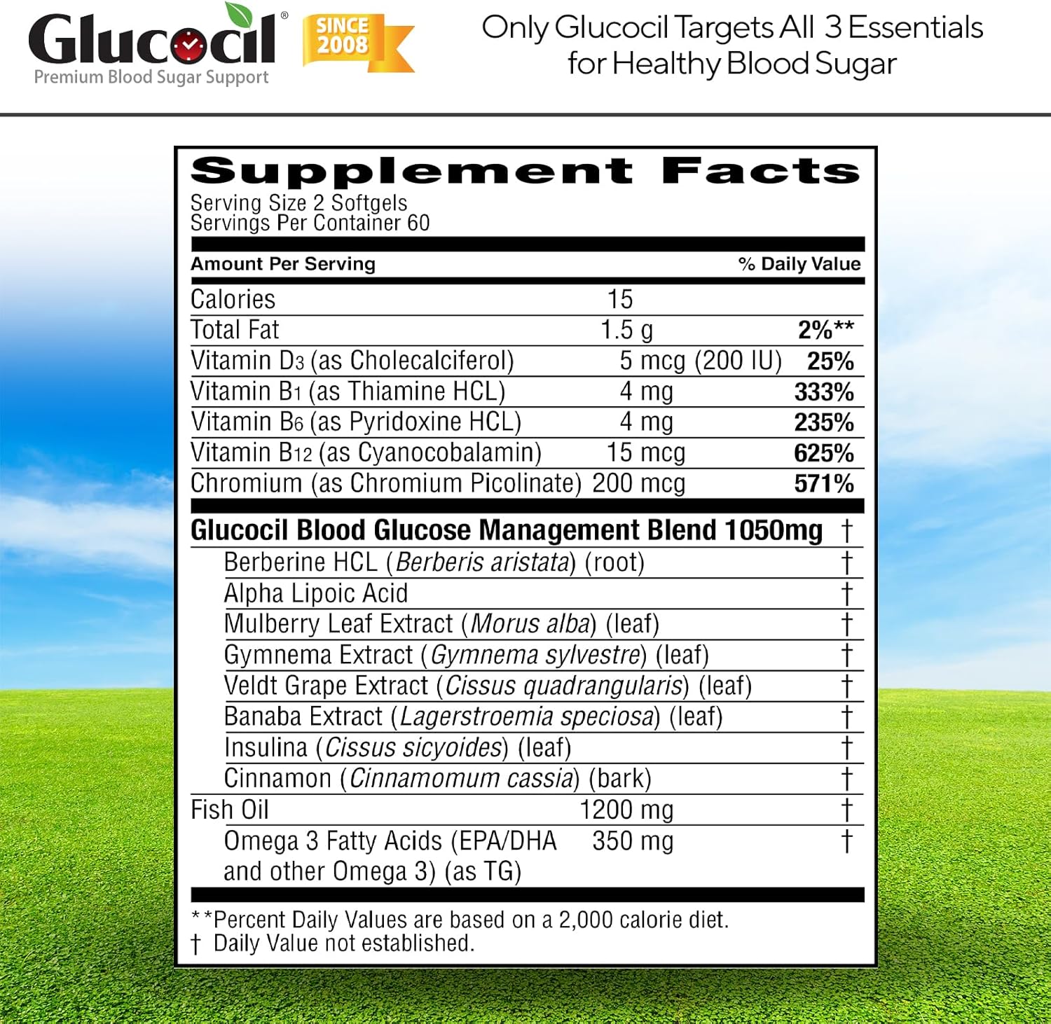 Glucocil – Premium Blood Sugar Support - Over 2 Million Bottles Sold - Supports The 3 Essentials for Healthy Blood Sugar - Since 2008, with Berberine, Proprietary Mulberry Leaf, and More